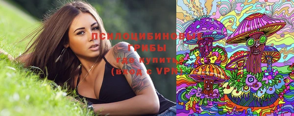 гашик Нефтегорск