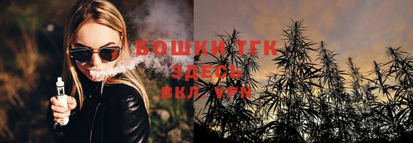 винт Нея