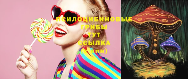 гашик Нефтегорск