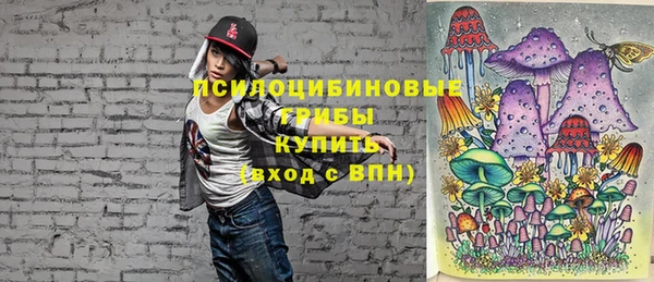 винт Нея