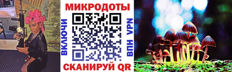 Псилоцибиновые грибы Cubensis Белая Холуница