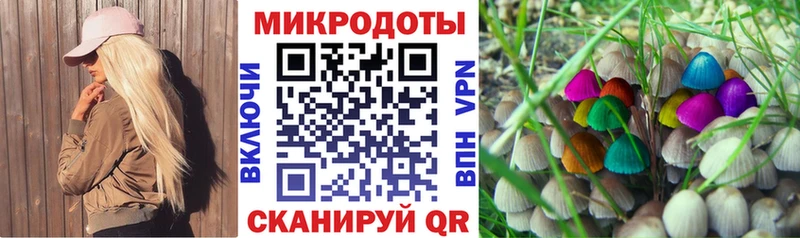 наркошоп кракен ссылки Галлюциногенные грибы прущие грибы Белая Холуница
